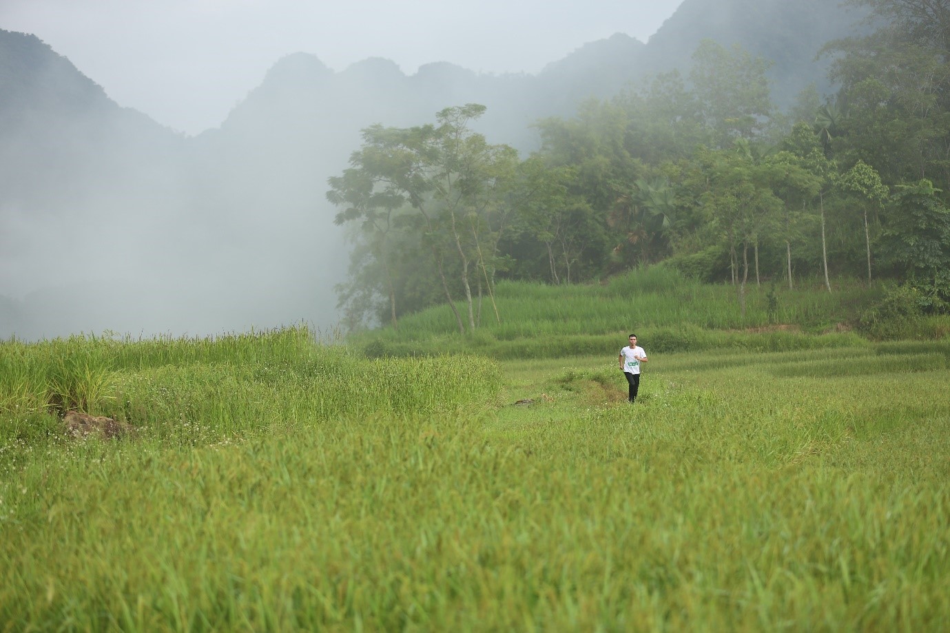 Amazing Pù Luông – hành trình kỳ thú về với thiên nhiên