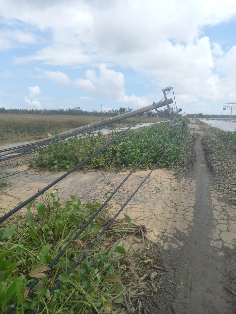 Người Thái Minh nhớ lại sức tàn phá khủng khiếp của cơn bão số 9