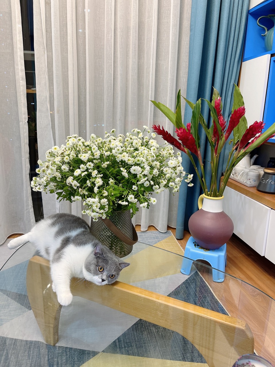 Niềm đam mê hoa của cô nàng thủ quỹ Thái Minh Niềm đam mê hoa của cô nàng thủ quỹ Thái Minh