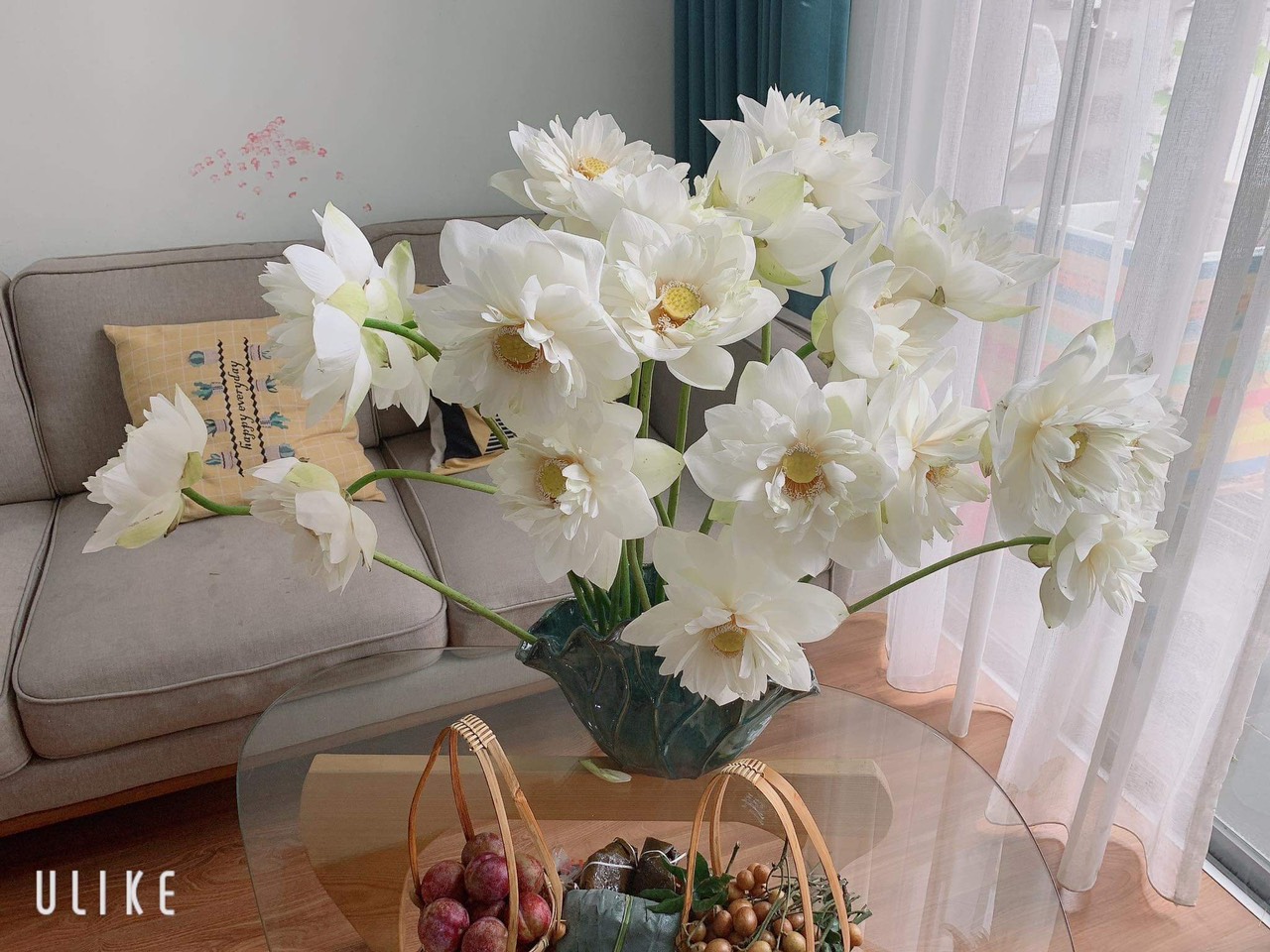 Niềm đam mê hoa của cô nàng thủ quỹ Thái Minh Niềm đam mê hoa của cô nàng thủ quỹ Thái Minh