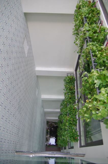 Văn phòng mới ngập cây xanh và ánh sáng của Thái Minh