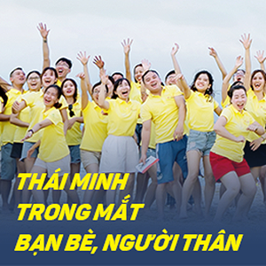 Thái Minh và bè bạn